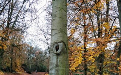 5 Parks für herrliche Herbstspaziergänge in Hamburg