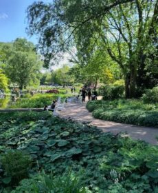 Perfect jogging paths in Hamburg, Germany