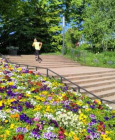 jogging with sunshine in Hamburg, Germany