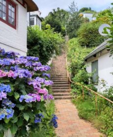 Blankenese Gardens along the Stairs Quarter