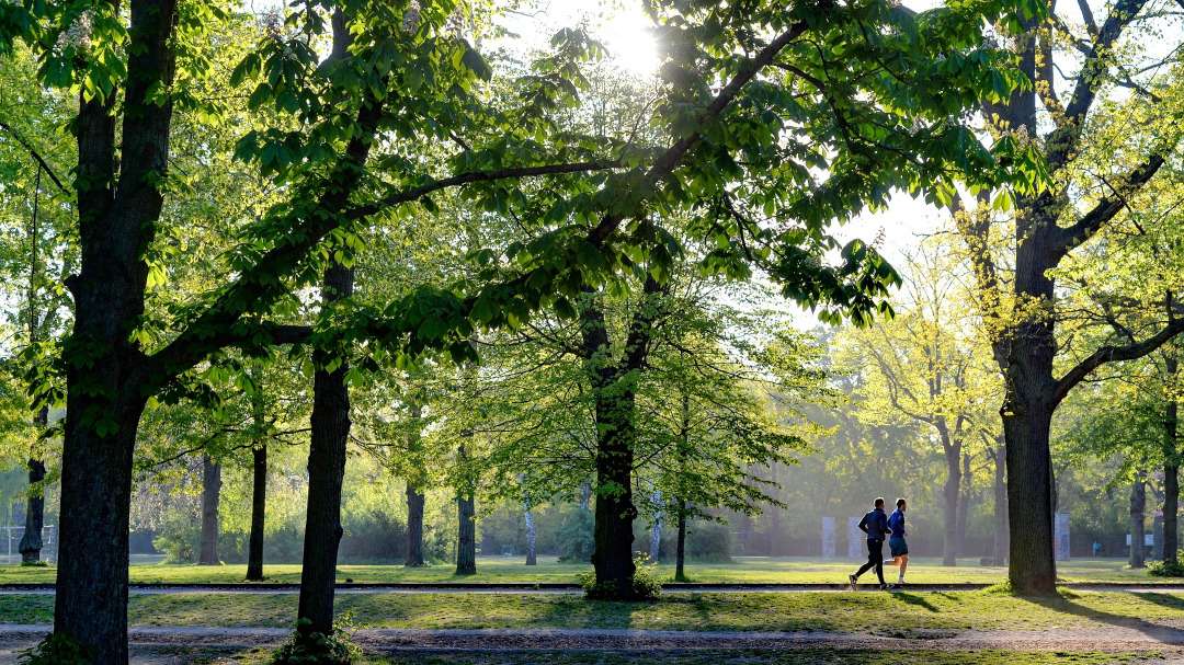 Jogging_Fertig Webseite Jogging acompaniment